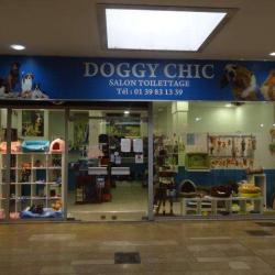 Doggy Chic