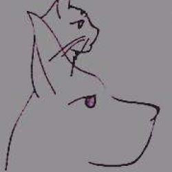 Doggy's