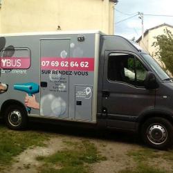 Doggybus