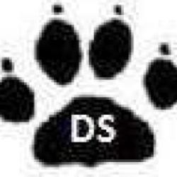 Doggyservices