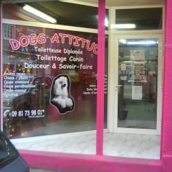 Dogs Attitud'