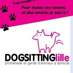 Dogsitting Lille