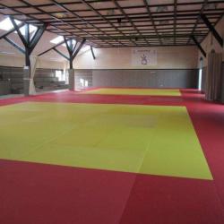 Dojo Costellois