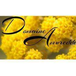 Domaine Amuredda
