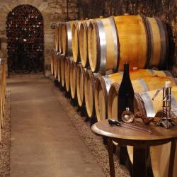 Domaine Armelle Et Bernard Rion