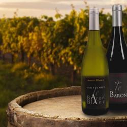 Domaine Baron - Vignoble Bio Touraine