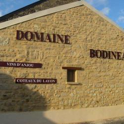 Domaine Bodineau