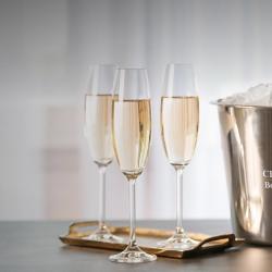Domaine Champagne Bovière Doria