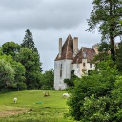 Château De Digoine