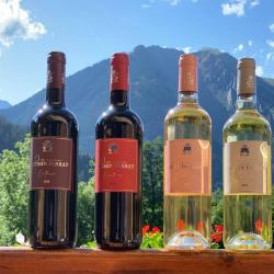 Domaine Chemin Farrat