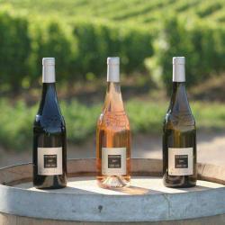 Domaine Clos Culombu
