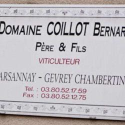 Domaine Coillot Bernard Pere Et Fils