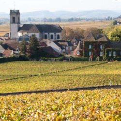 Domaine Cyrot-buthiau