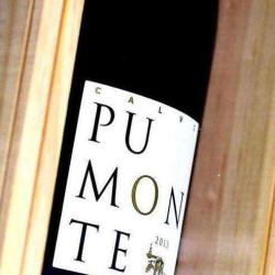Domaine D'alzipratu
