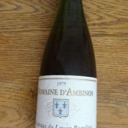 Domaine D’ Ambinos