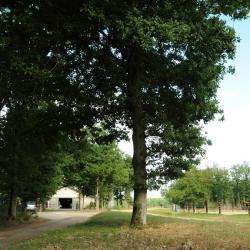 Domaine D'escorpain