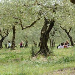 Domaine D'o