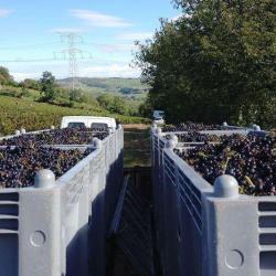 Domaine Darrezes