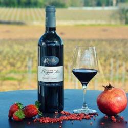 Domaine De Berguerolles