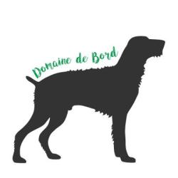 Domaine De Bord