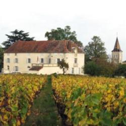 Domaine De Chamilly Duréault Père Et Fils