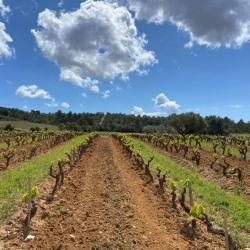 Domaine De Favanquet