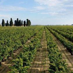 Domaine De Jarras-listel
