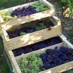 Domaine De L' Octavin