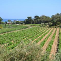 Domaine De L'anglade