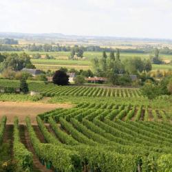Domaine De L'arguray