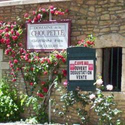 Domaine De La Choupette