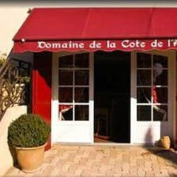 Domaine De La Côte De L'ange