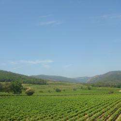 Domaine De La Giscle