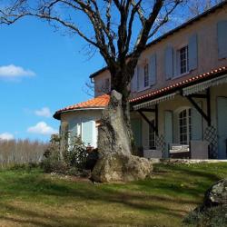 Domaine De La Petite Salamandre