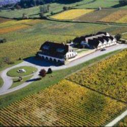 Domaine De La Pinte