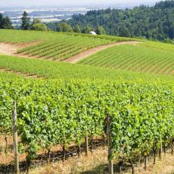 Domaine De La Semellerie