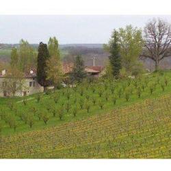 Domaine De Lafage Earl