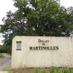 Domaine De Martinolles