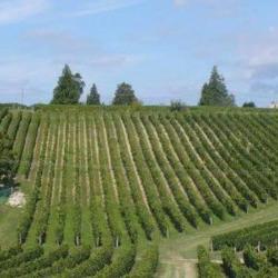 Domaine De Noire
