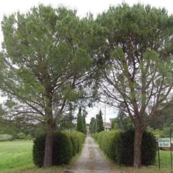 Domaine De Pech