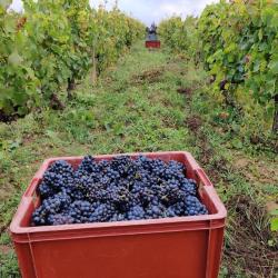 Domaine De Prapin
