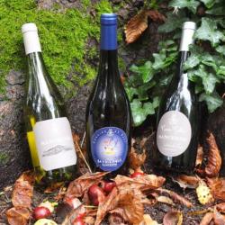 Domaine De Sacy