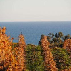 Domaine De Solenzara