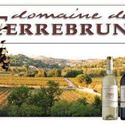 Domaine De Terrebrune