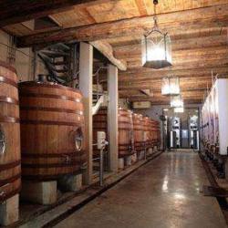 Domaine De Theyron