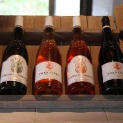 Domaine De Torraccia