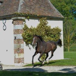 Domaine De Toussacq