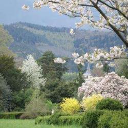 Domaine De Windeck