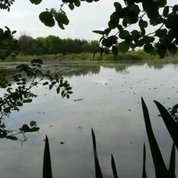 Domaine Debrusson