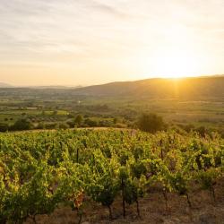Domaine Des Conquêtes